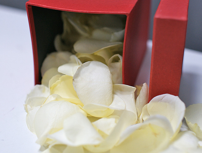 Cutie cu petale de trandafir alb foto
